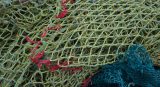 Blue Circular Economy fishing nets