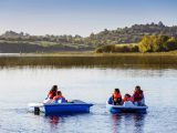 Families on paddle boats
