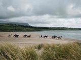 Horse riding on the beach in Sligo