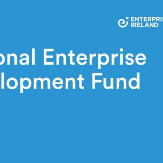 Regional Enterprise Development Fund graphic