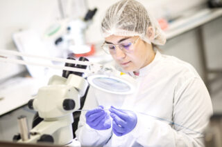 Girl working in a clean room in Vistamed Medical Devices, Carrick on Shannon, County Leitrim