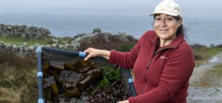 Cindy O’Brien, Abalone Chonamara Teoranta