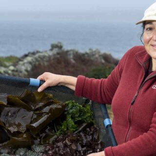 Cindy O’Brien, Abalone Chonamara Teoranta